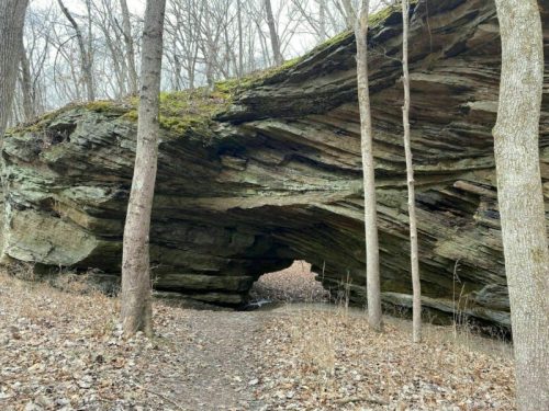 A natural rock formation with a large arch, surrounded by bare trees and fallen leaves on a forest path.