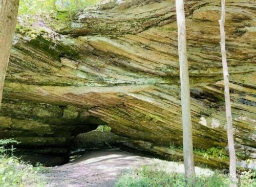 A rocky overhang in a forest, with layered stone formations and trees on either side. Sunlight filters through the foliage.