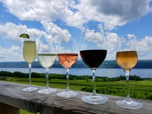Five wine glasses filled with different types of wine, set against a scenic backdrop of vineyards and a lake under a cloudy sky.