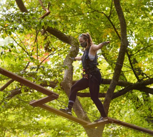 A person balances on a wooden beam high above the ground, surrounded by lush green trees.