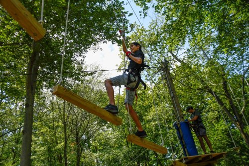 A child navigates a rope course high in the trees, wearing a harness and balancing on wooden planks.
