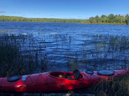 A red kayak rests on the shore of a calm lake, surrounded by green trees and tall grasses under a clear blue sky.