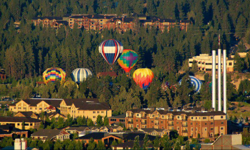 Colorful hot air balloons float above a tree-lined area with buildings in the foreground and mountains in the background.