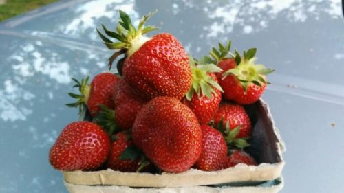 A basket filled with fresh, ripe strawberries on a reflective surface.