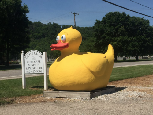 A large, bright yellow rubber duck statue outside Little Lambs Childcare Ministry & Preschool, with trees in the background.
