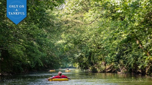 People floating on inner tubes down a serene, tree-lined river on a sunny day.