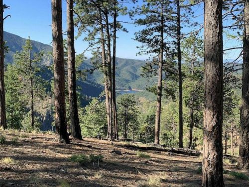 A scenic view of a forest with tall trees, overlooking a valley and distant mountains under a clear blue sky.