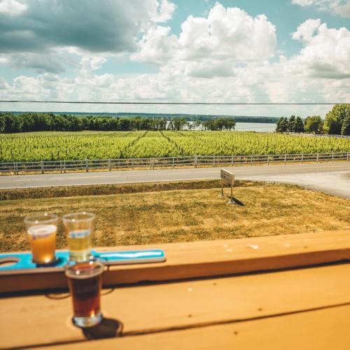 A scenic view of a vineyard with a lake in the distance, featuring a flight of drinks on a wooden table.