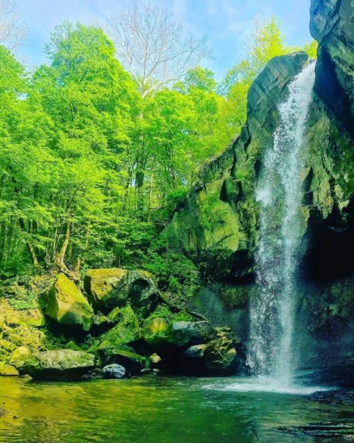 A serene waterfall cascades down rocky cliffs, surrounded by lush green trees and a tranquil pool below.