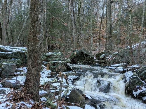 A serene forest scene with a flowing stream, surrounded by rocks and trees, partially covered in snow.
