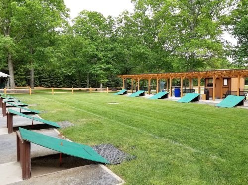 A grassy area with several green cornhole boards lined up, surrounded by trees and a wooden pavilion in the background.
