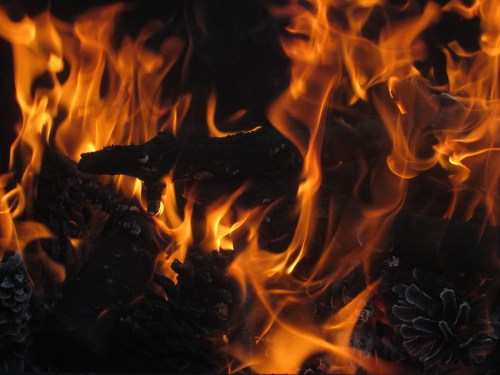 Flames dance among burning logs and pine cones, creating a warm, glowing fire scene.