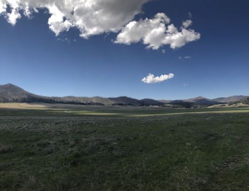 A wide, open landscape with green grass, distant mountains, and a blue sky dotted with clouds.