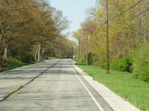 A quiet, tree-lined road with green grass and gravel along the sides, under a clear blue sky.