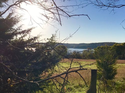 A serene landscape featuring a lake surrounded by trees, with sunlight filtering through branches on a clear day.