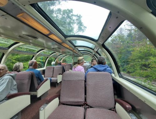 Interior view of a train car with passengers seated, large windows showcasing greenery outside.