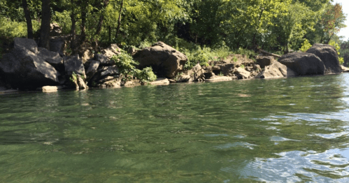 A serene river scene with clear water and rocky banks, surrounded by lush green trees.