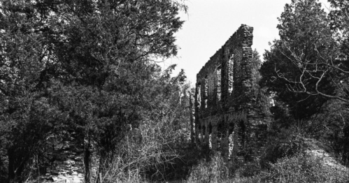 Black and white image of crumbling stone ruins surrounded by dense trees and overgrown vegetation.