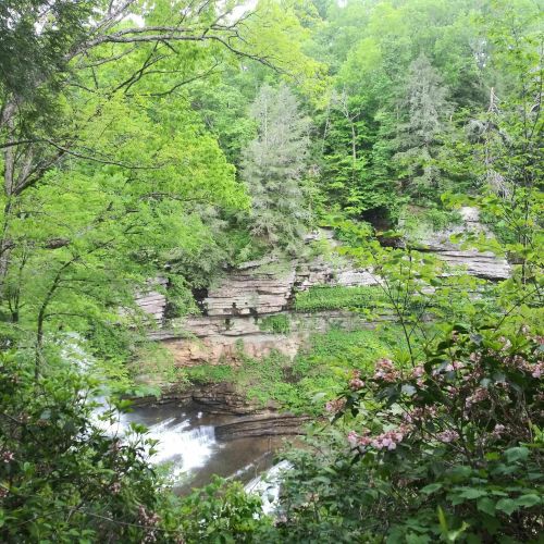 Lush green trees and rocky cliffs surround a flowing river, creating a serene natural landscape.