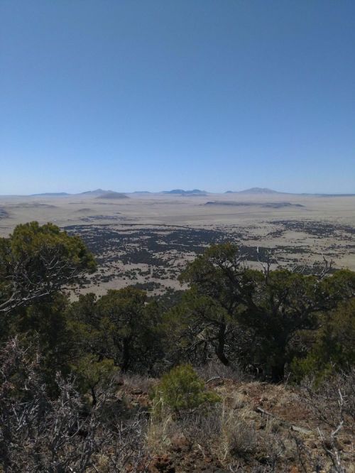 A panoramic view of a vast landscape with rolling hills and sparse vegetation under a clear blue sky.