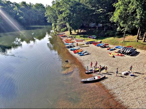A serene riverbank with colorful kayaks and canoes lined up on the shore, surrounded by lush greenery.