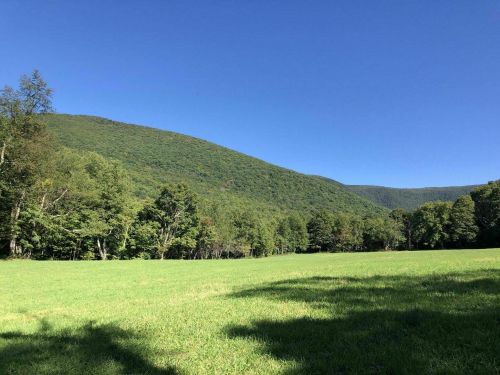 A lush green field with a backdrop of rolling hills and a clear blue sky. Trees line the edge of the field.