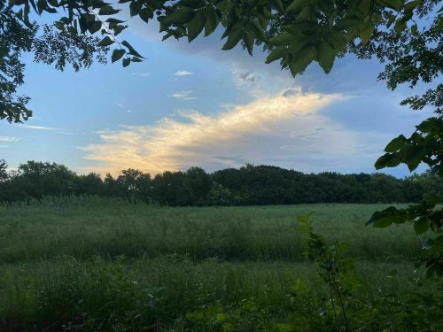 A serene landscape featuring a grassy field framed by trees, with a colorful sky at sunset in the background.