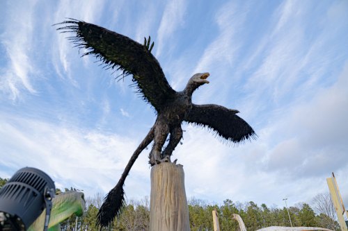 A large, black, feathered creature resembling a griffin stands on a wooden post against a blue sky.