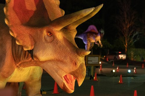A close-up of a illuminated Triceratops statue with another dinosaur in the background, set in a nighttime scene.