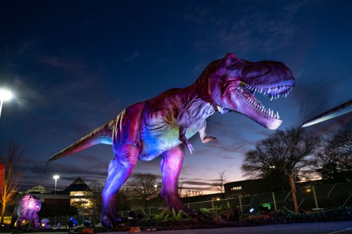 A large, colorful dinosaur sculpture illuminated at night, set against a darkening sky.