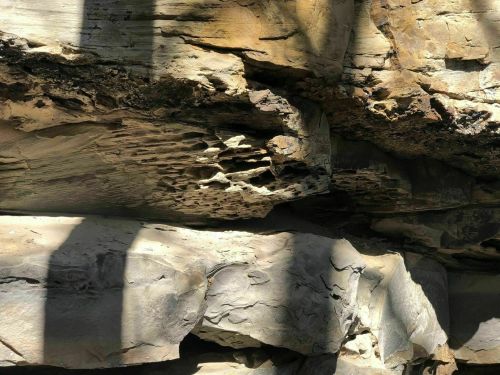 Close-up of textured rock surface with shadows, showcasing natural patterns and formations in the stone.