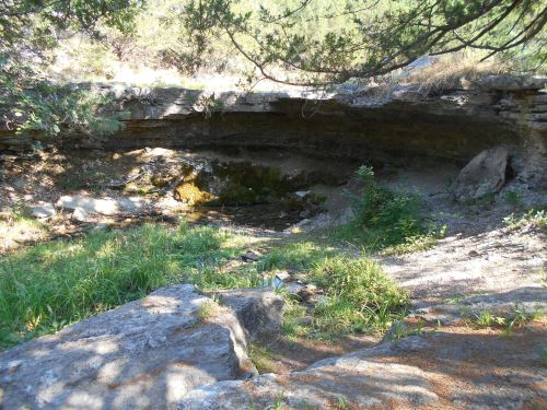 A rocky landscape with a shallow creek surrounded by greenery and trees, creating a serene natural setting.