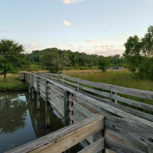 A wooden boardwalk stretches over calm water, surrounded by lush greenery and trees under a clear sky.