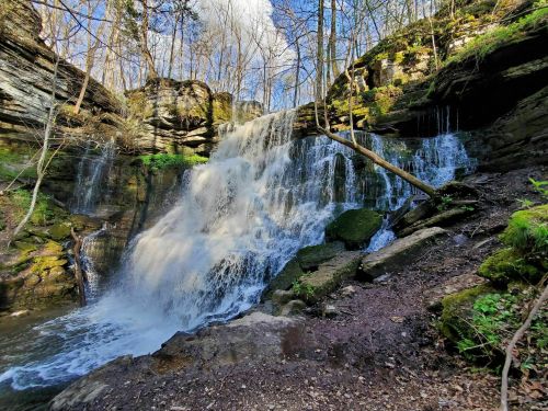 A serene waterfall cascades over rocky cliffs, surrounded by lush greenery and trees under a clear blue sky.