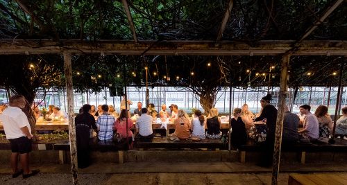 A large group of people dining together outdoors under string lights and trees, creating a cozy atmosphere.