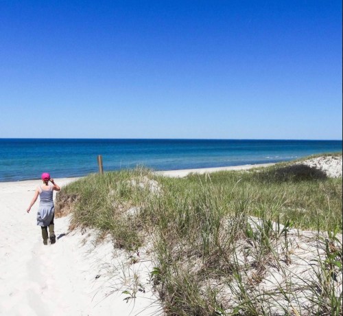 A person walks along a sandy beach with tall grass, under a clear blue sky and calm ocean waves.