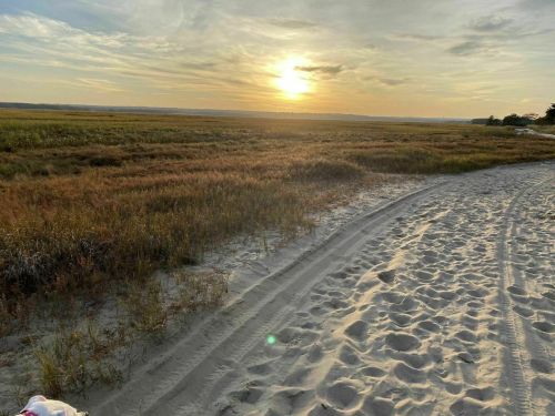 A serene beach scene at sunset, with golden light reflecting on grassy dunes and sandy paths.
