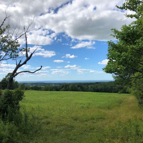A lush green field under a blue sky with fluffy clouds, framed by trees and a distant view of rolling hills.
