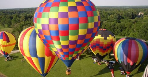 Colorful hot air balloons on a grassy field, surrounded by trees under a clear blue sky.