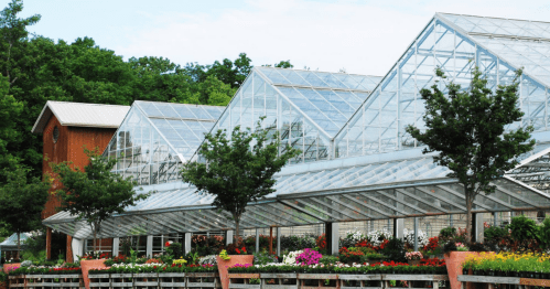 A large greenhouse with glass panels, surrounded by colorful flowers and trees, set against a green hillside.