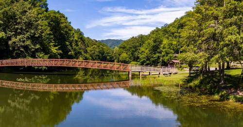 A serene landscape featuring a wooden bridge over a calm lake, surrounded by lush green trees and mountains in the background.