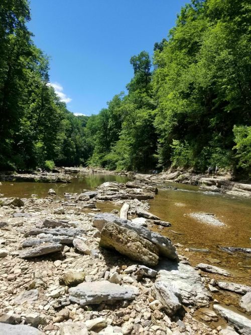 A serene river scene surrounded by lush green trees and rocky banks under a clear blue sky.