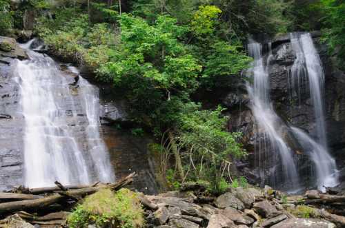 A serene waterfall cascades down rocky cliffs, surrounded by lush greenery and fallen logs.