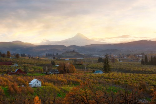 A scenic landscape featuring rolling hills, vineyards, and a snow-capped mountain under a cloudy sky at sunset.