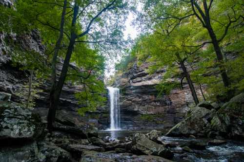 A serene waterfall cascades down rocky cliffs, surrounded by lush green trees and a tranquil river below.