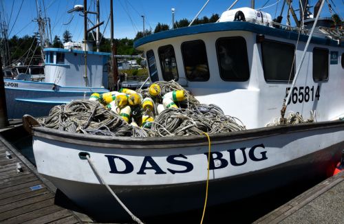 A fishing boat named "DAS BUG" is docked, filled with colorful buoys and ropes, surrounded by other boats in the marina.
