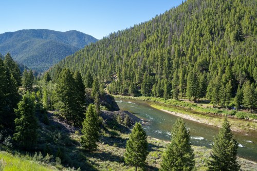 A serene river flows through a lush green valley surrounded by mountains and dense pine forests under a clear blue sky.