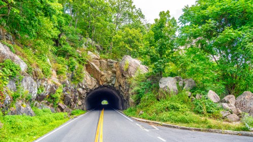 A scenic road leads through a rocky tunnel, surrounded by lush greenery and trees on either side.