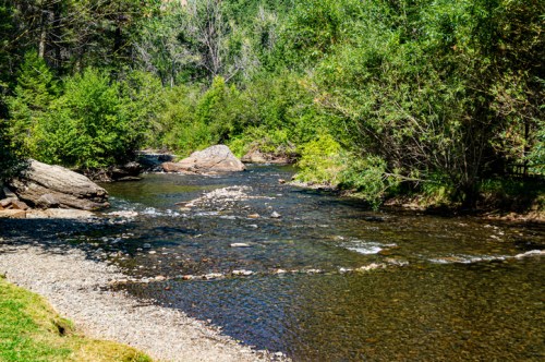 A serene river flows through a lush green landscape, with rocks and trees lining the banks under bright sunlight.