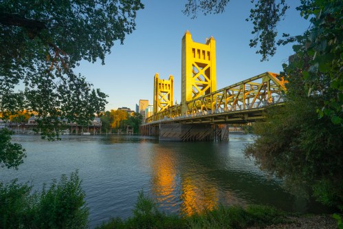 Golden sunlight illuminates the Tower Bridge over the river, framed by lush greenery and a clear blue sky.